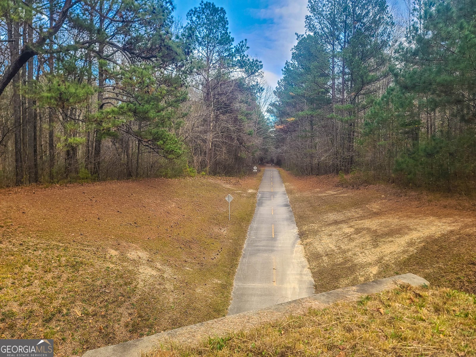 511 Willow Springs Drive Dallas - 38