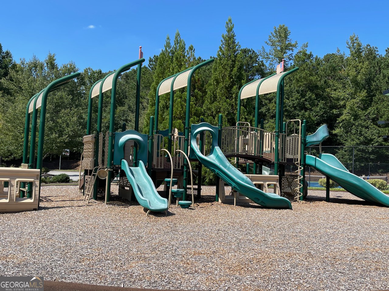 345 Darien Drive Senoia - 44