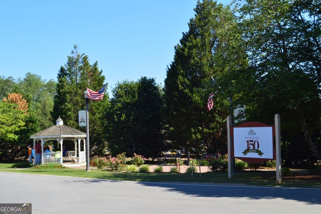 345 Darien Drive Senoia - 47