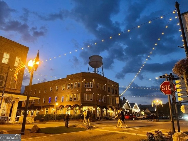 345 Darien Drive Senoia - 48