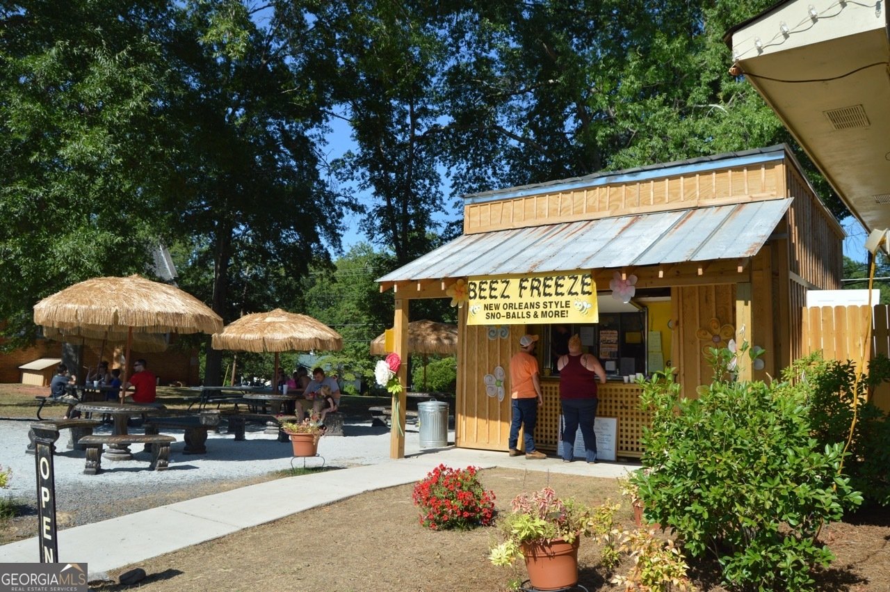 345 Darien Drive Senoia - 50