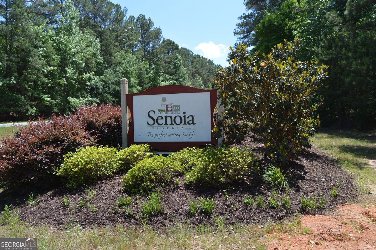 345 Darien Drive Senoia - 53