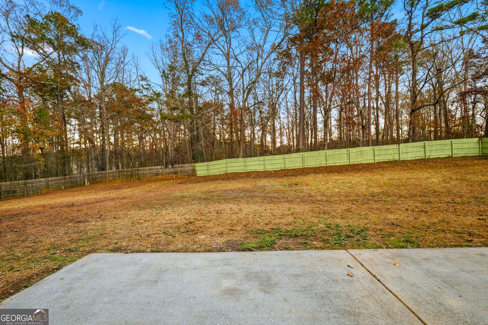 1739 Snapping Shoals Road Mcdonough - 6