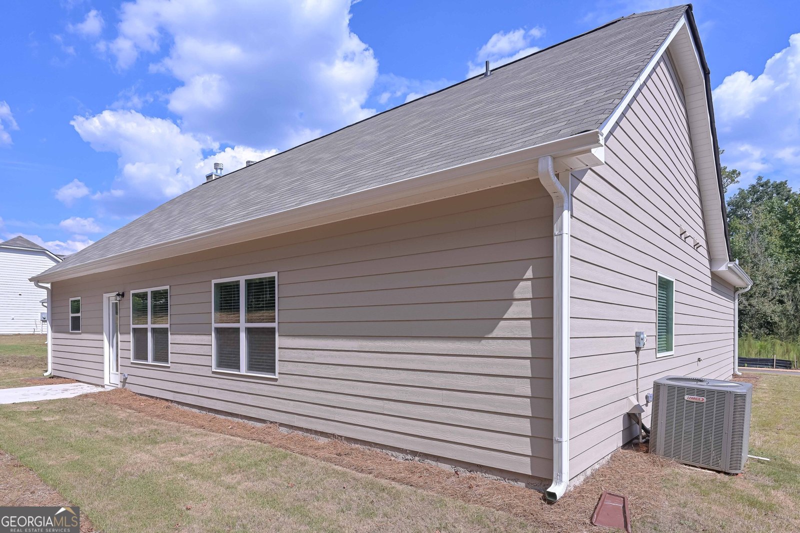 486 Charleston Place Villa Rica - 4