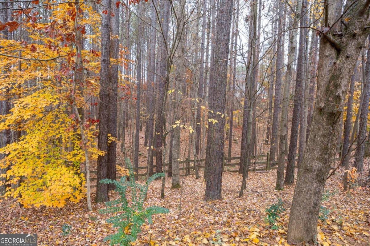 198 Treadstone Lane Dallas - 32