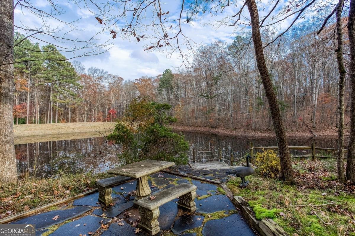 336 Tanglewood Drive Canton - 50