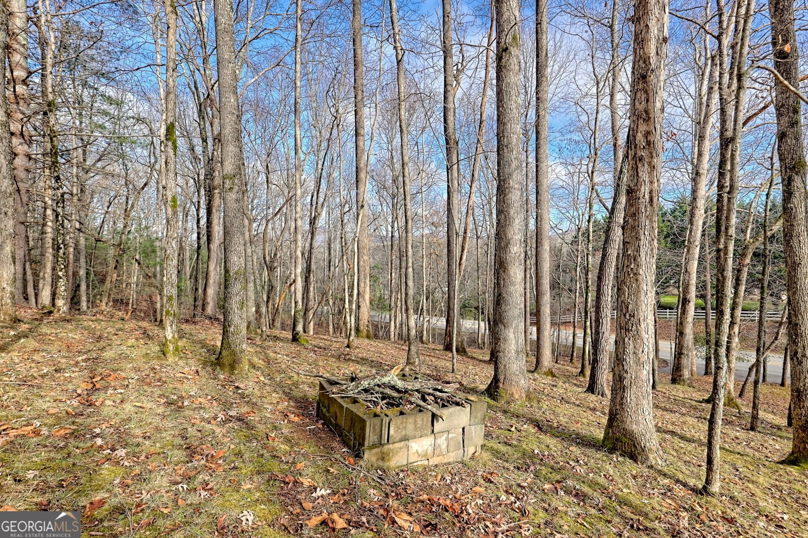 5753 Jackson Lane Young Harris - 54