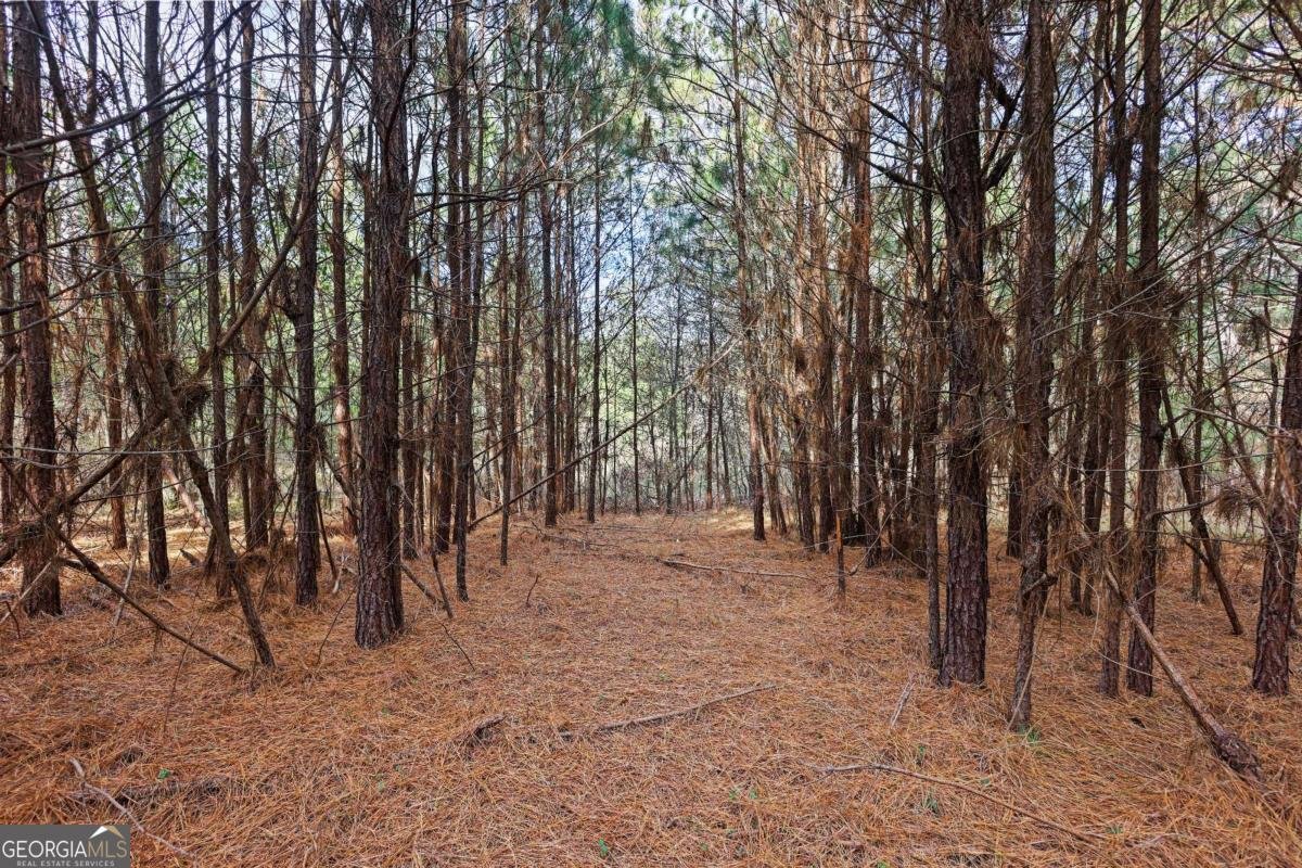 73 Paul Smith Road Covington - 22