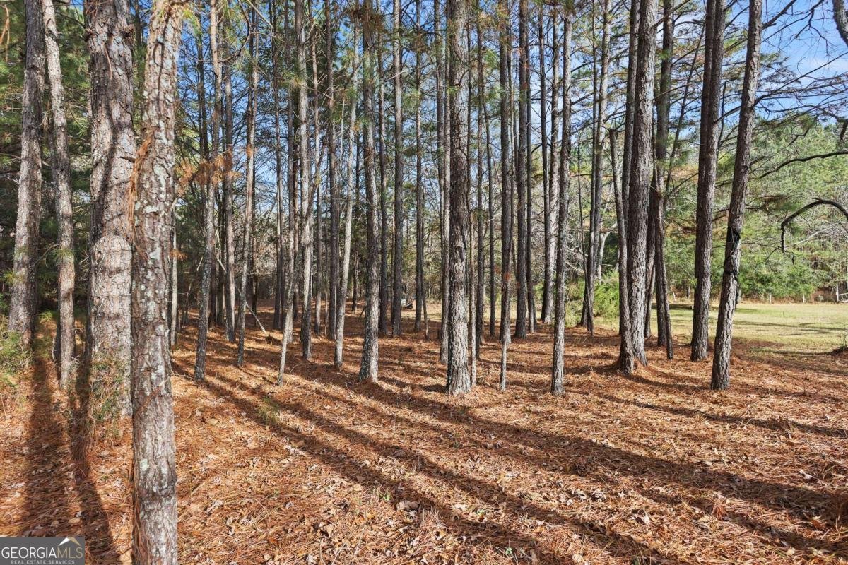 73 Paul Smith Road Covington - 23