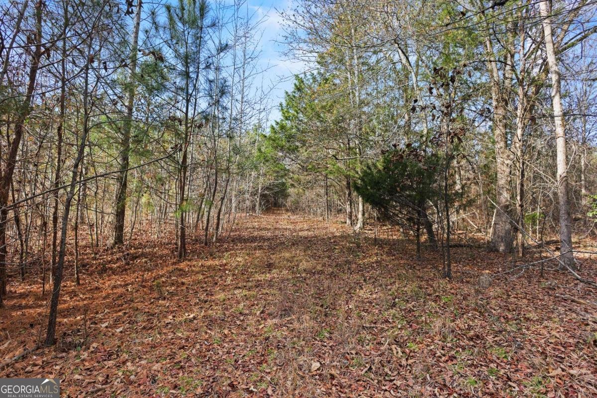 73 Paul Smith Road Covington - 31