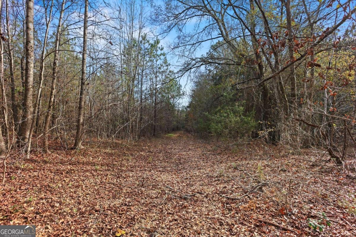 73 Paul Smith Road Covington - 32