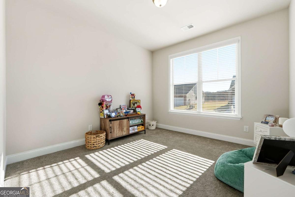 140 Lott Creek Court Braselton - 19