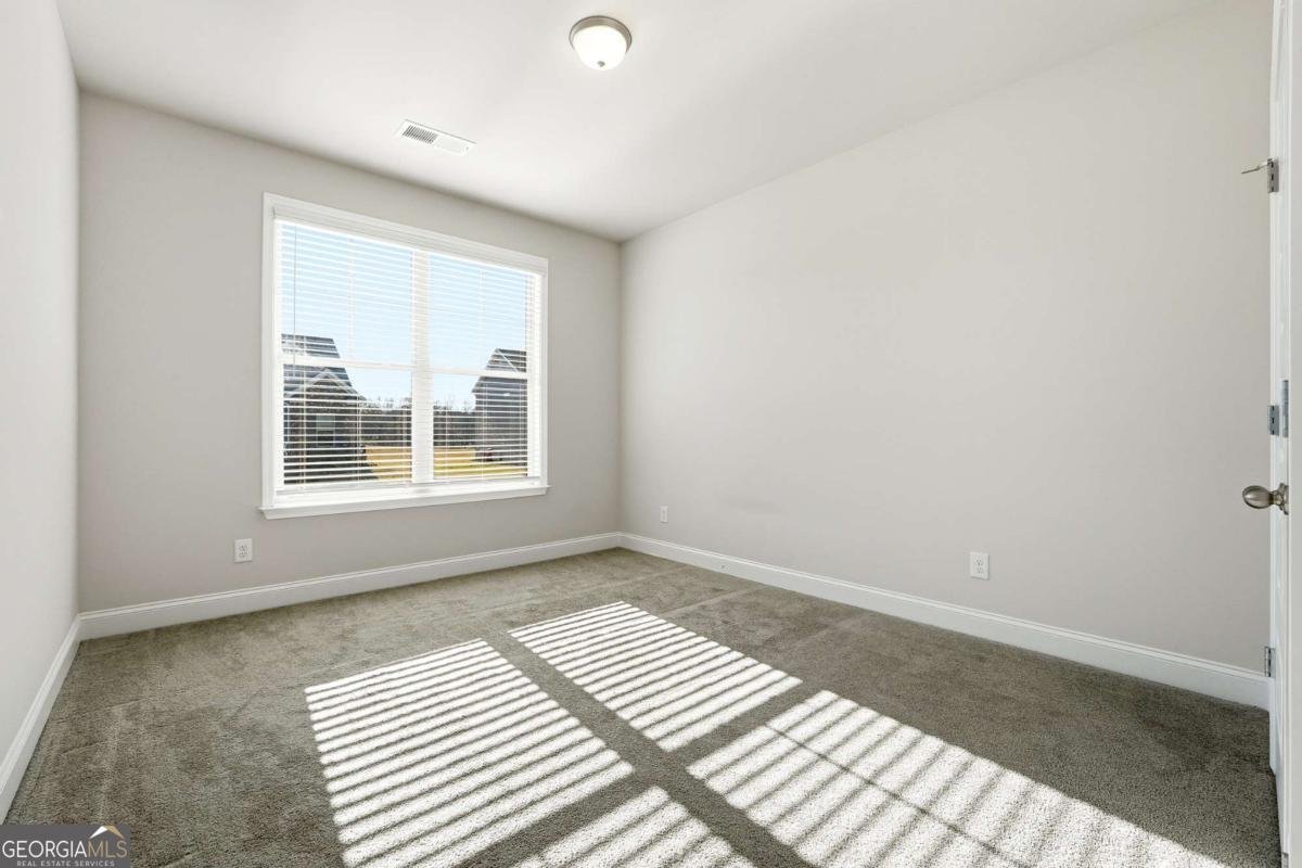 140 Lott Creek Court Braselton - 20