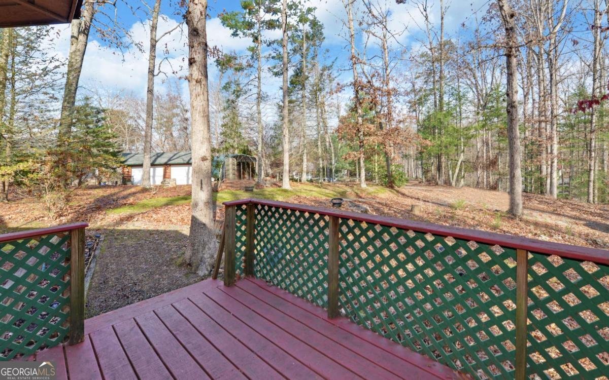 15 Trails End Run Blue Ridge - 27