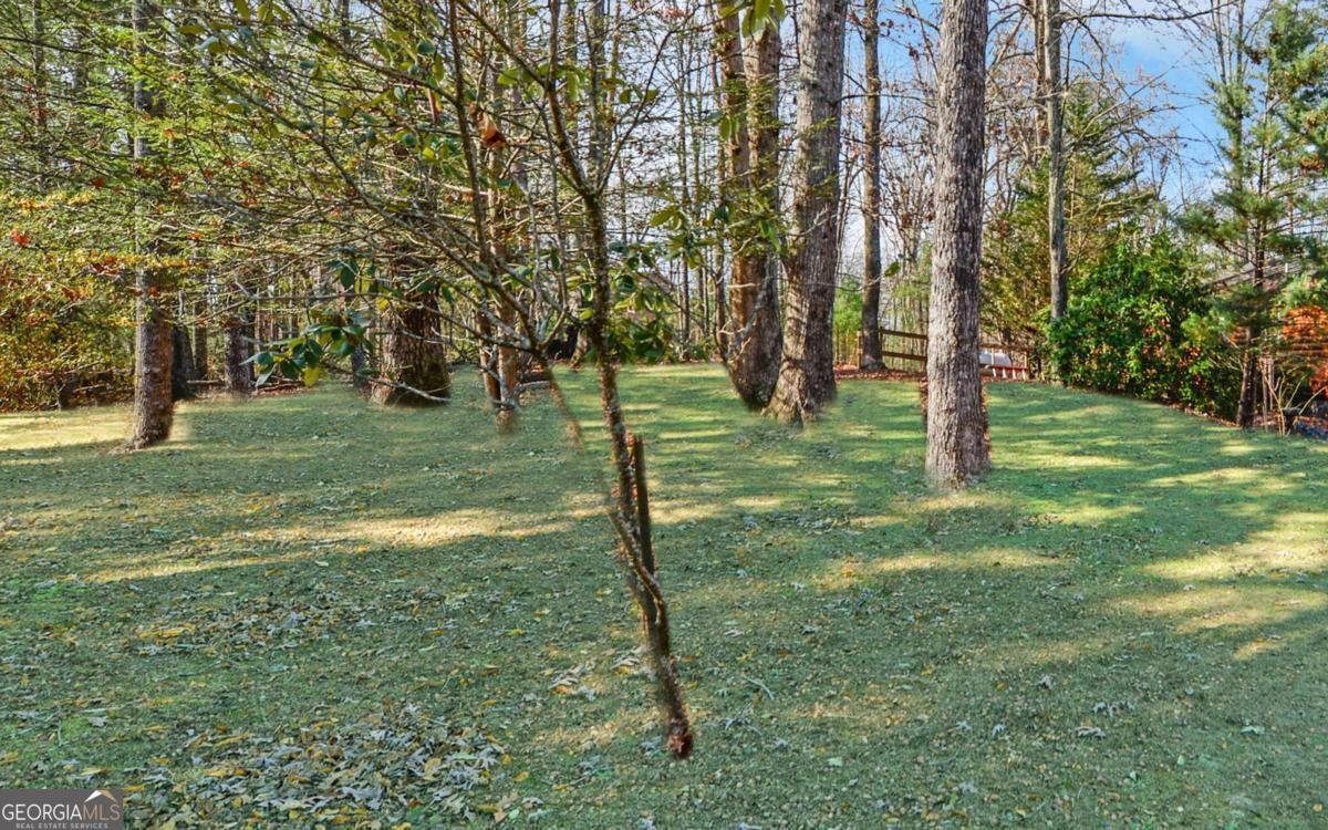 15 Trails End Run Blue Ridge - 41