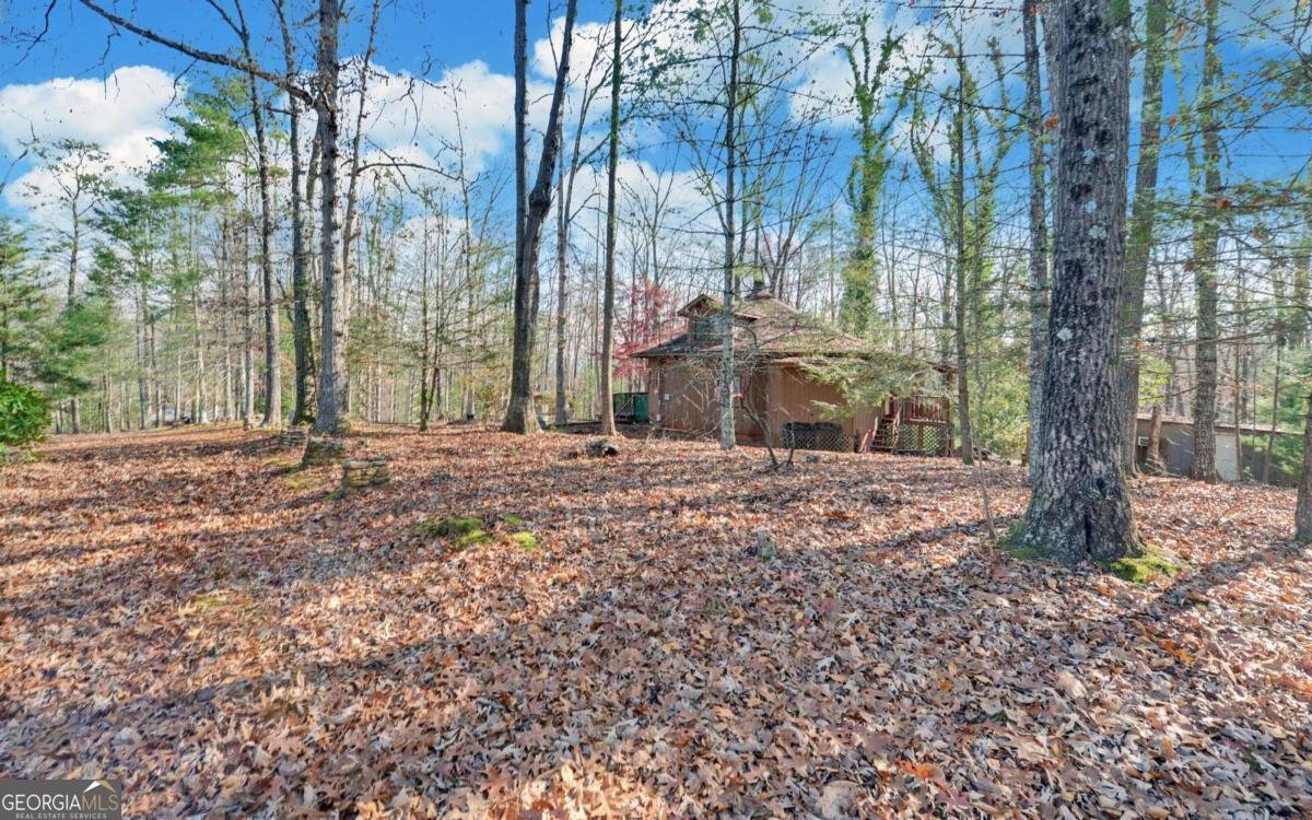 15 Trails End Run Blue Ridge - 43