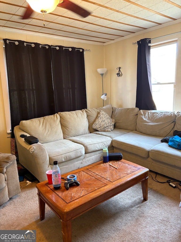 508 Pine Street West Point - 6