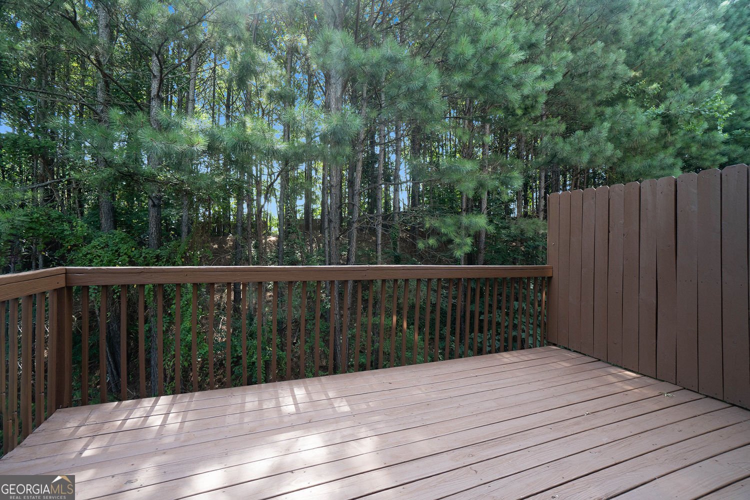 734 Celeste Lane Atlanta - 20