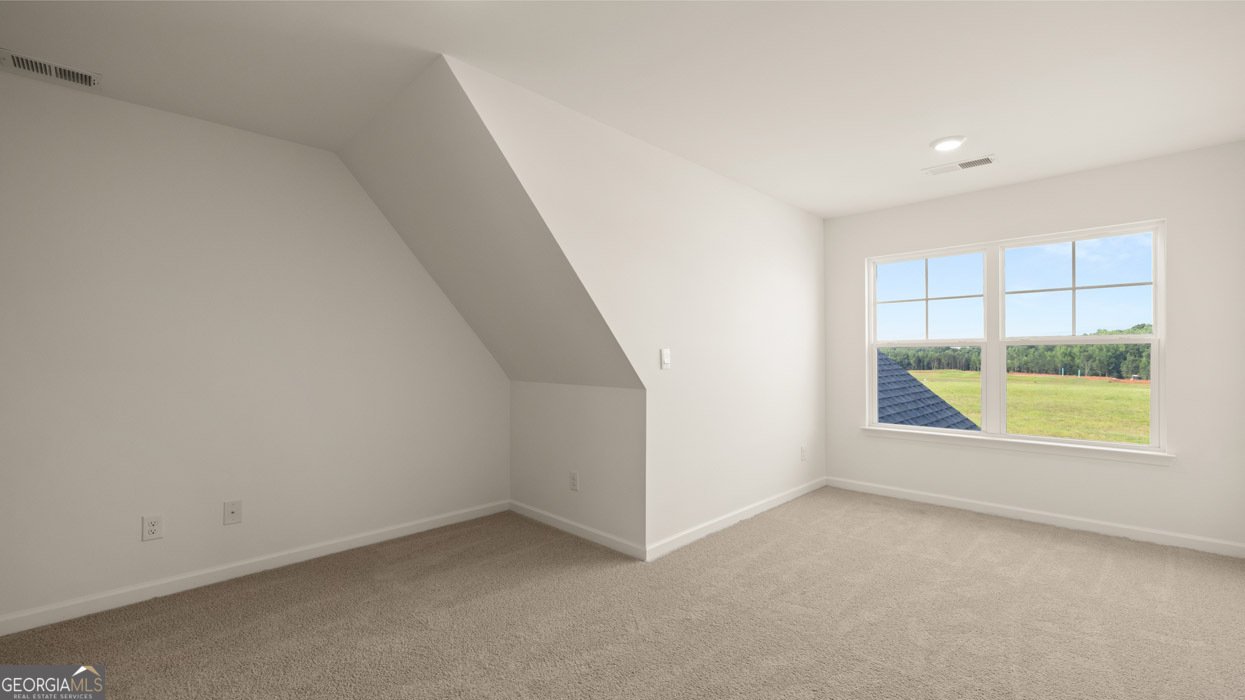 335 Staffin Drive Senoia - 46