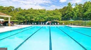 335 Staffin Drive Senoia - Photo 54