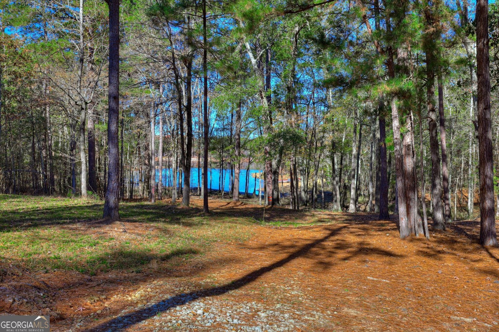 1066 Pine Point Lane Tignall - 53