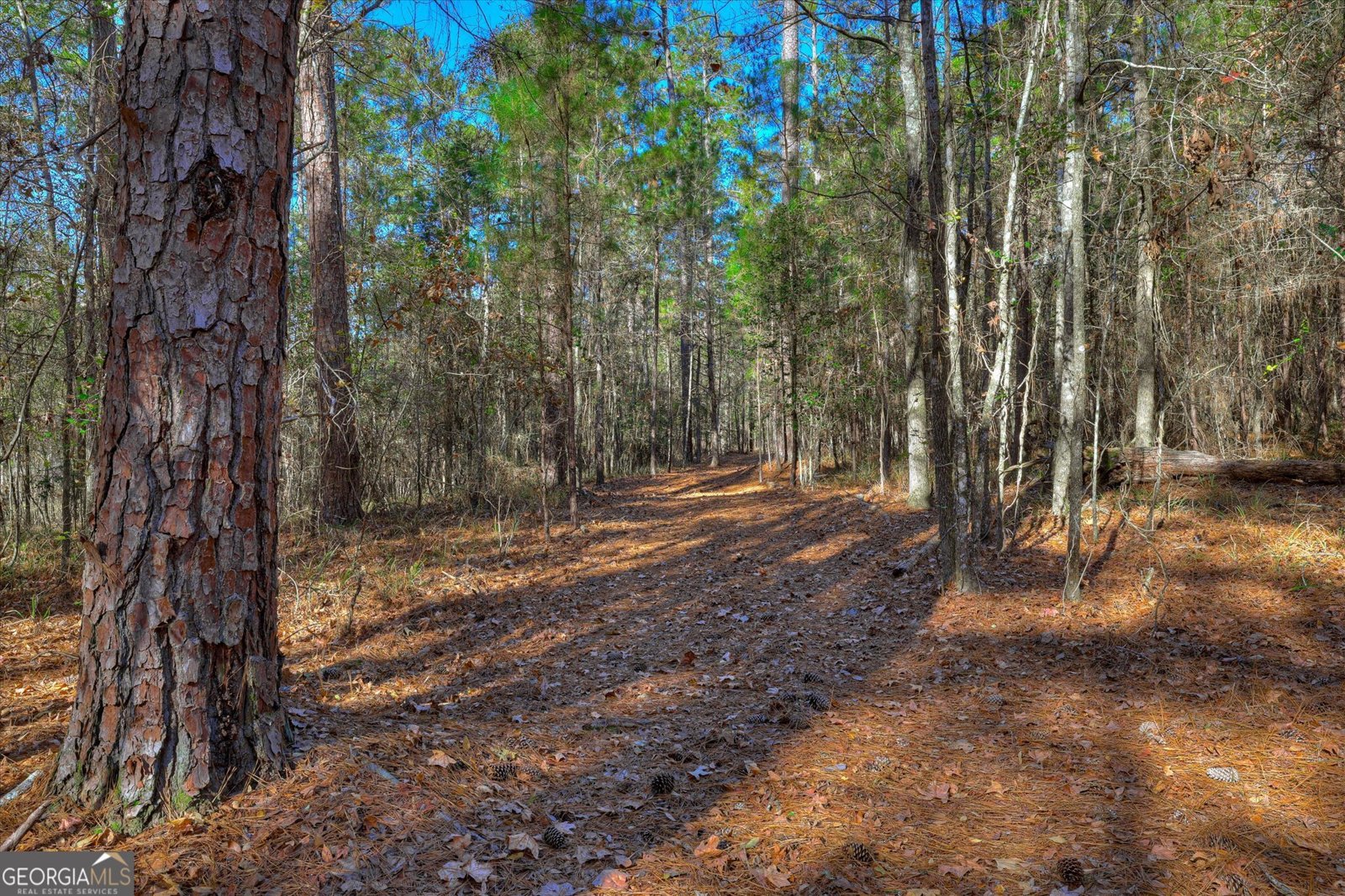 1066 Pine Point Lane Tignall - 55