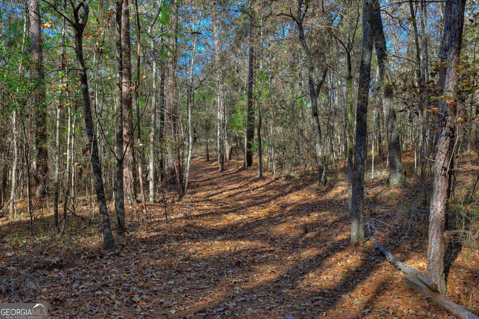 1066 Pine Point Lane Tignall - 56