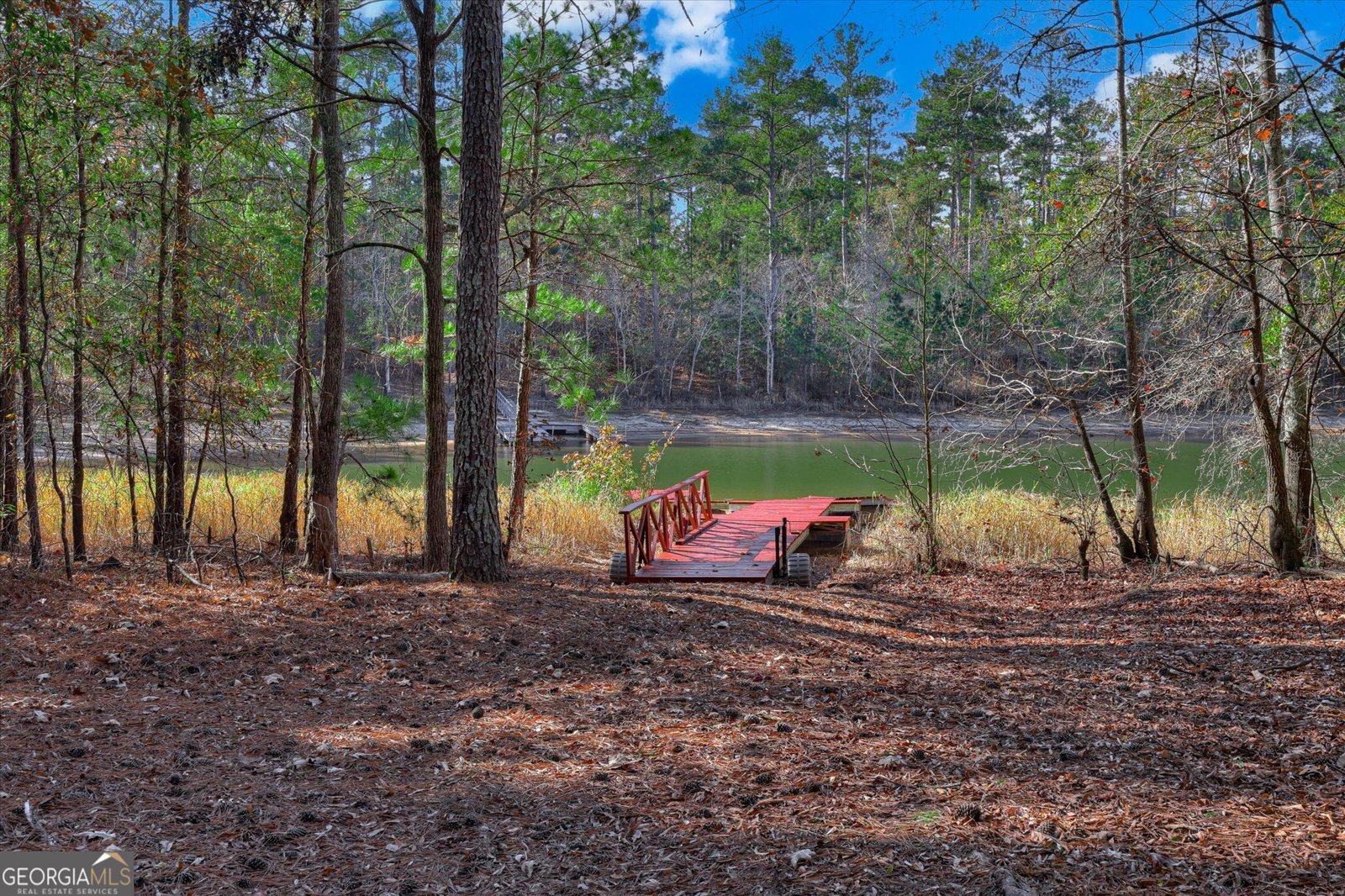 1066 Pine Point Lane Tignall - 57