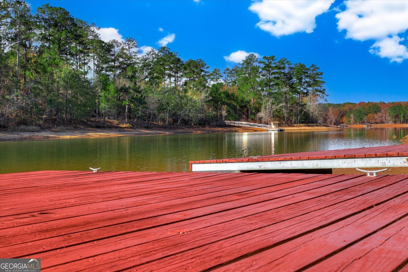 1066 Pine Point Lane Tignall - 60