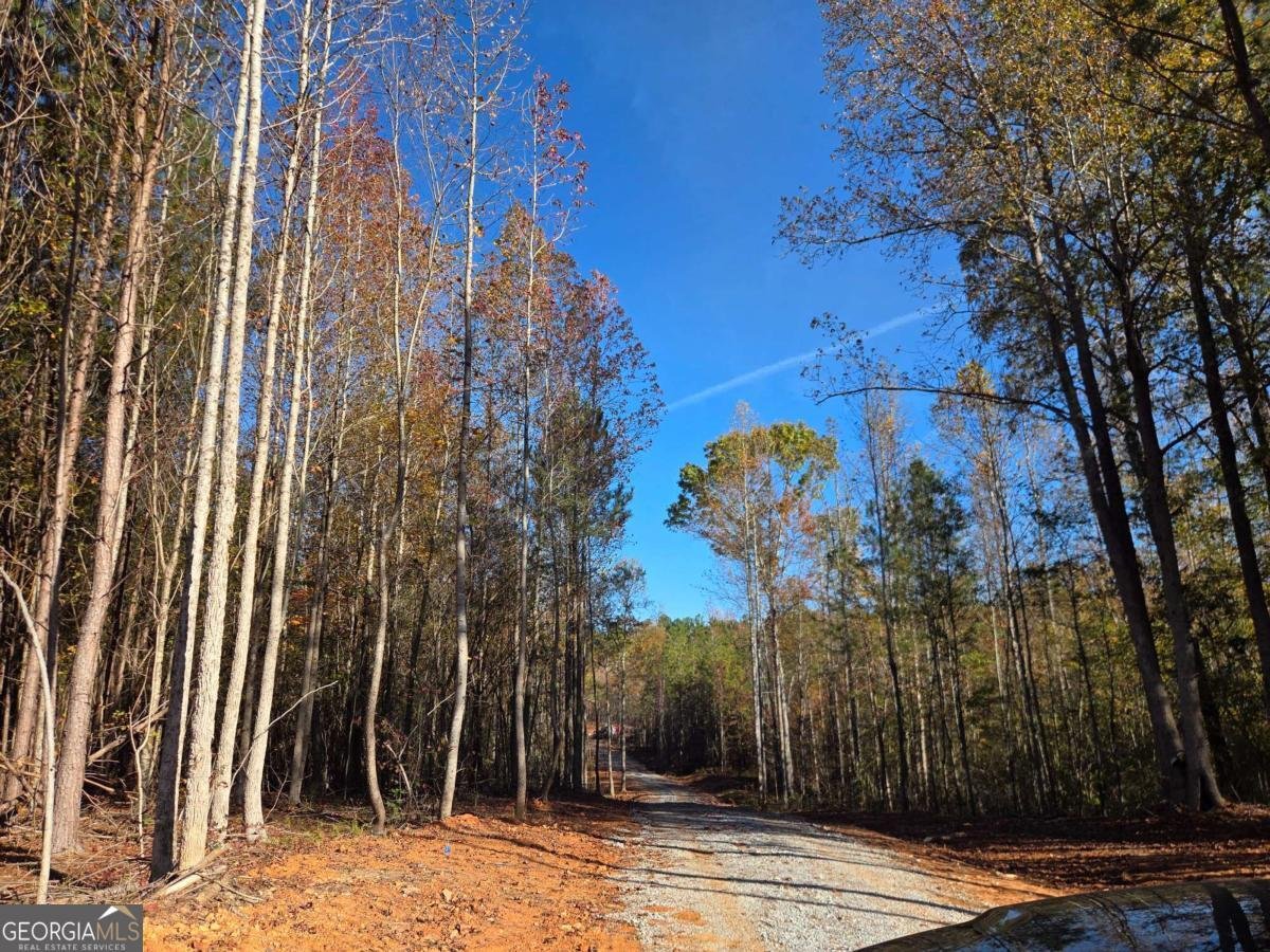 329 Morgan Road Temple - 28