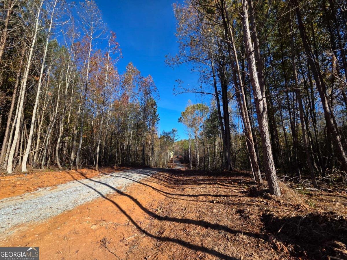 329 Morgan Road Temple - 29