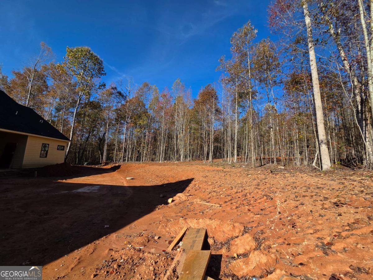 329 Morgan Road Temple - 30