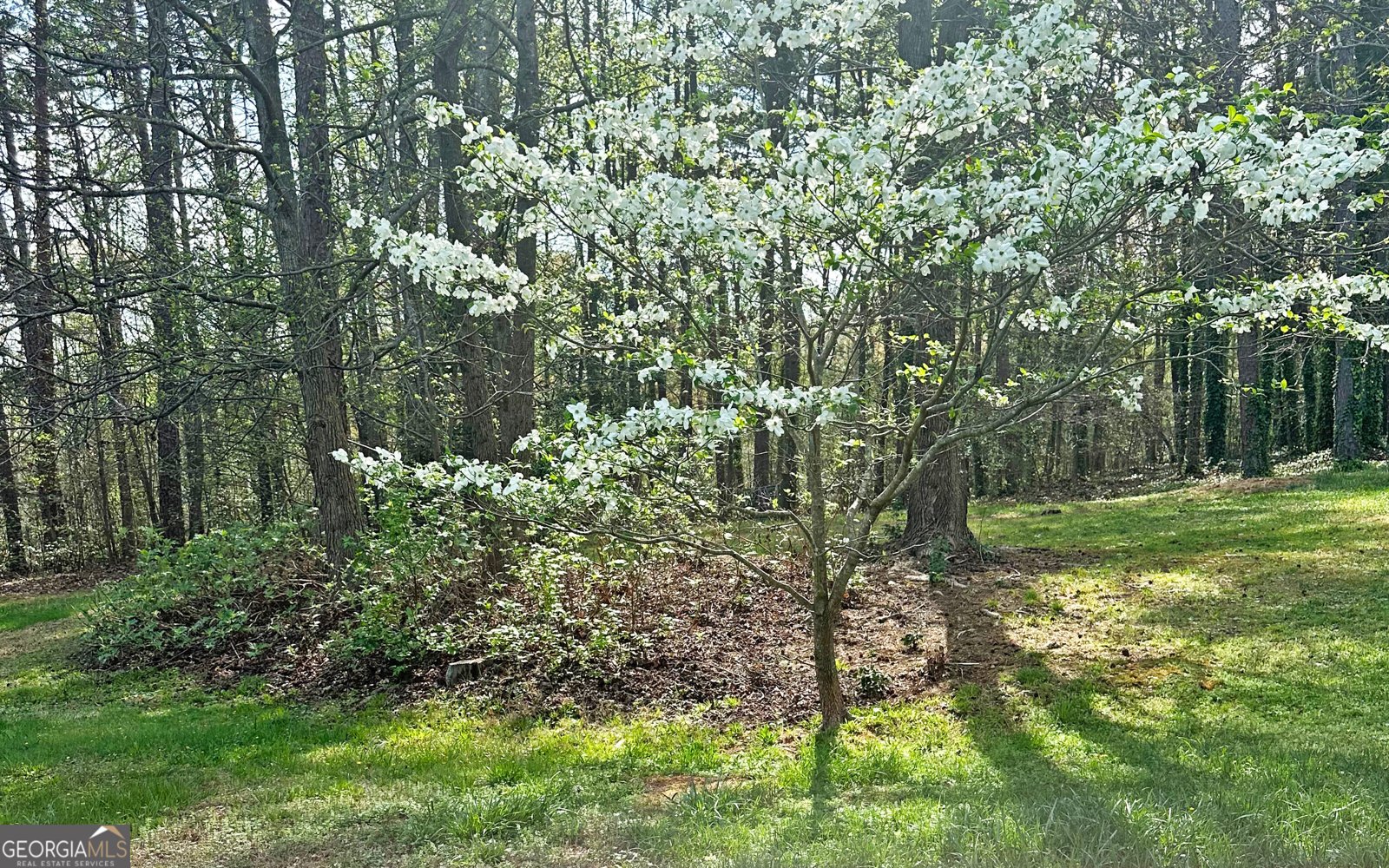 850 Long Road Toccoa - 72