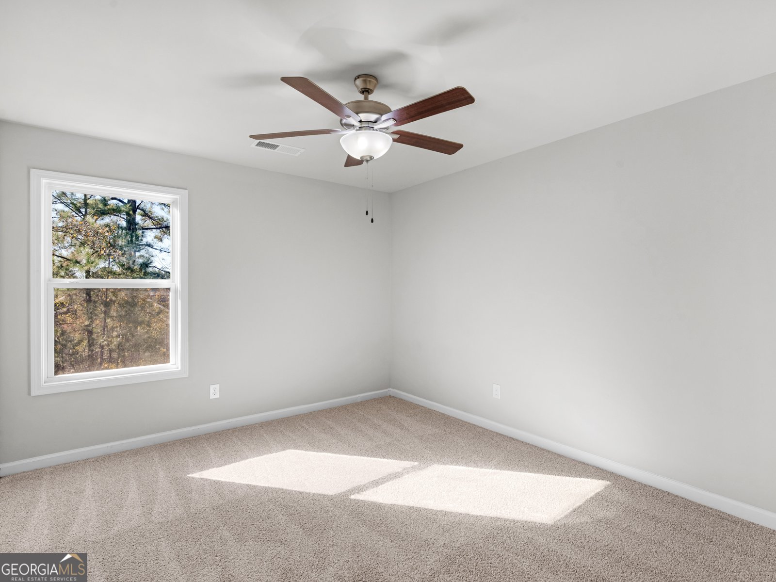 201 Shetland Court Macon - 38