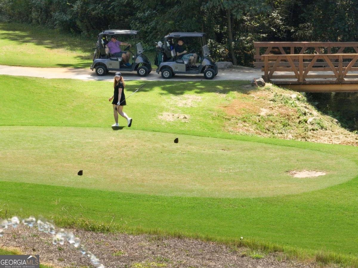 5921 Yoshino Cherry Lane Braselton - 97