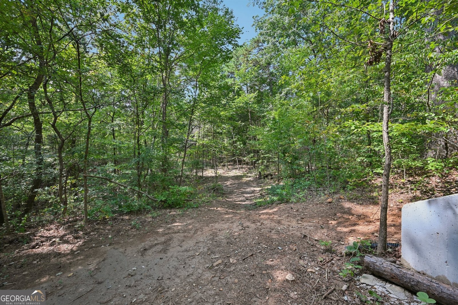 294 Paces Lakes Ridge Dallas - 49