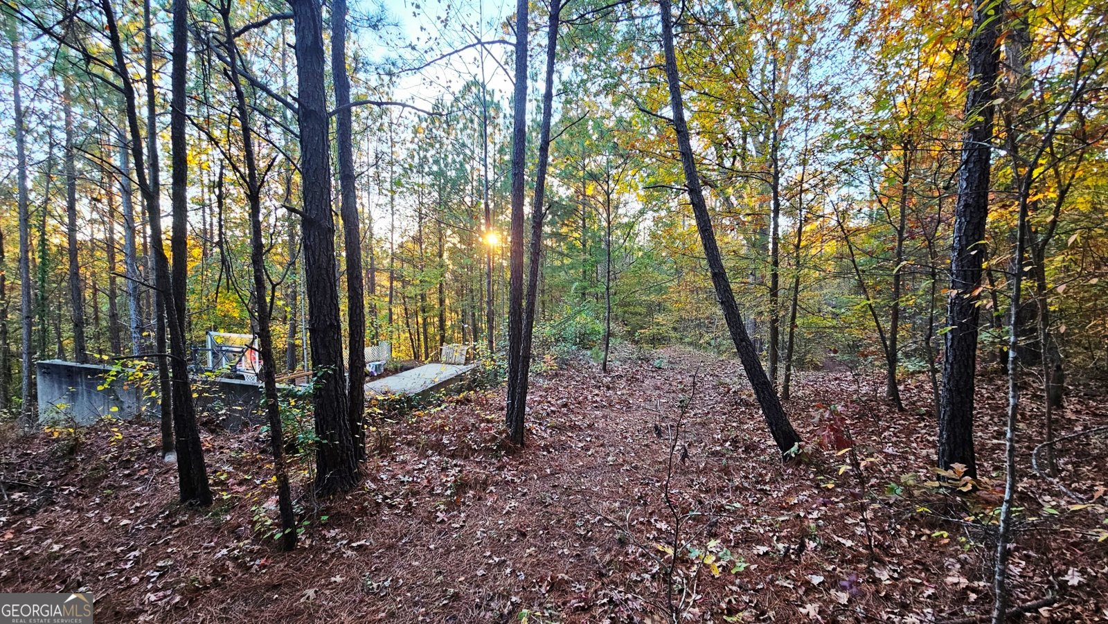 294 Paces Lakes Ridge Dallas - 54