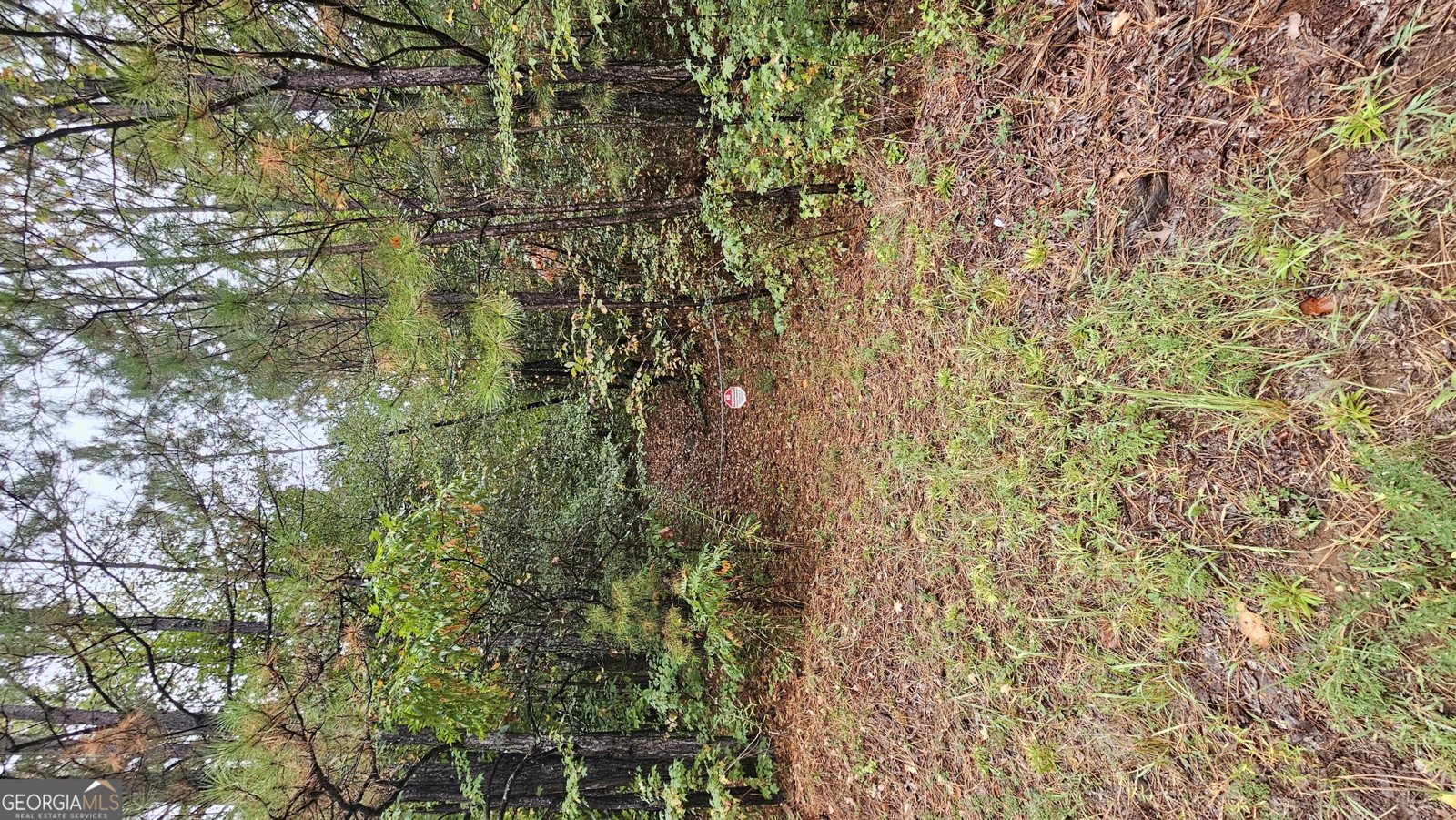 294 Paces Lakes Ridge Dallas - 66