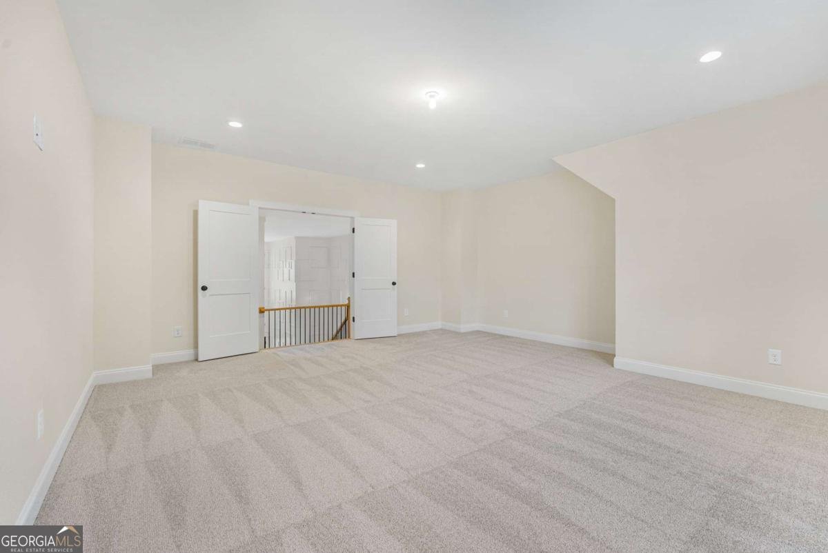 255 Cicely Way Tyrone - 47