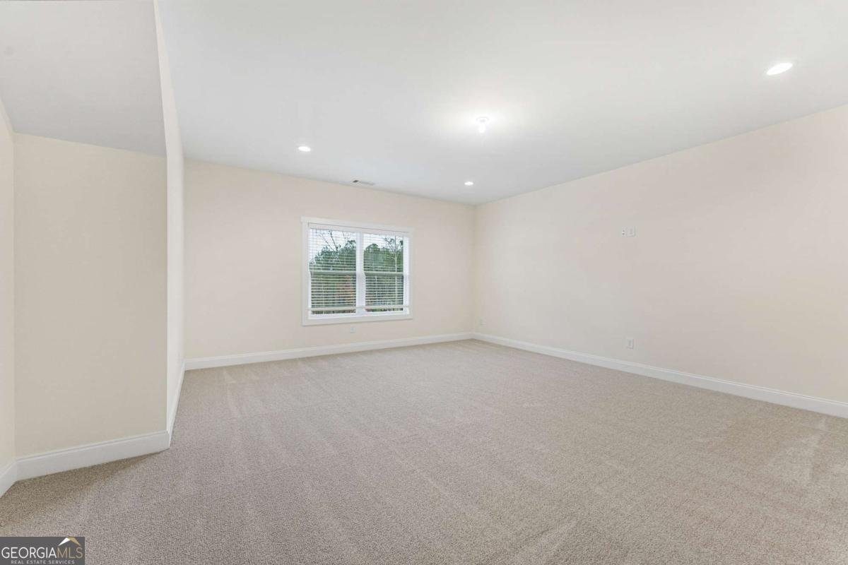 255 Cicely Way Tyrone - 48