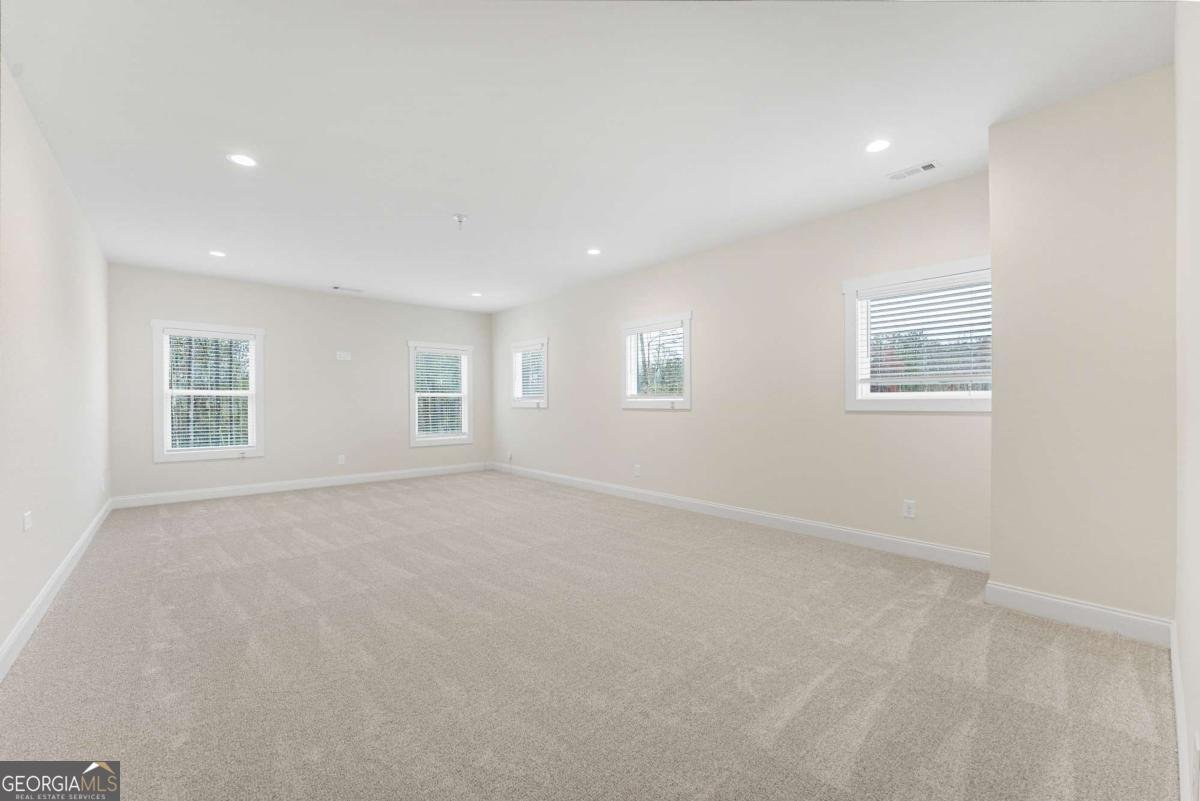 255 Cicely Way Tyrone - 49