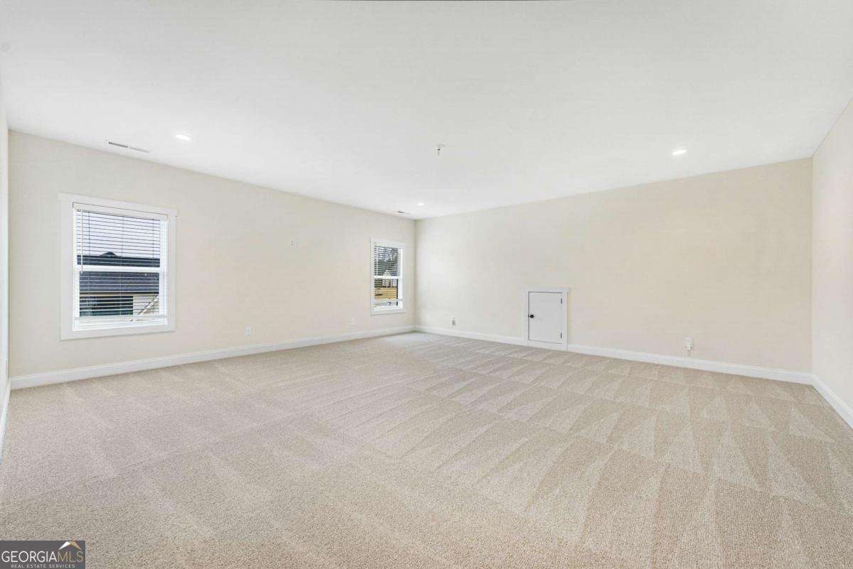 255 Cicely Way Tyrone - 50