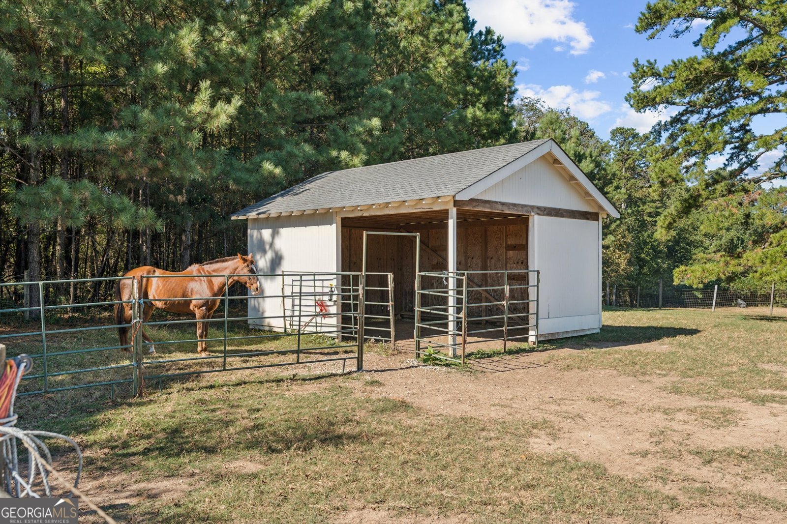 2740 Talley Lane Buford - 9