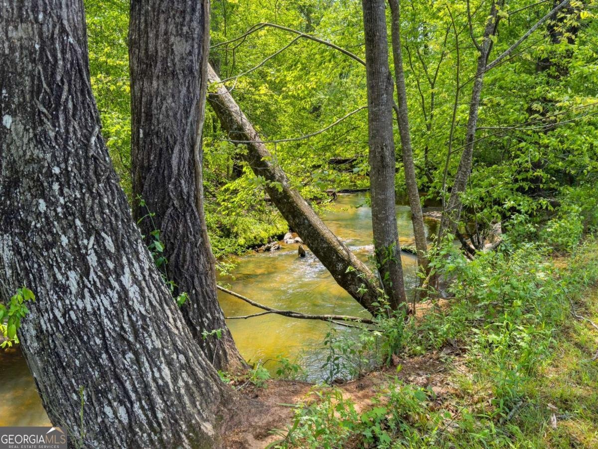 4600 Pinot Noir Drive Braselton - 42