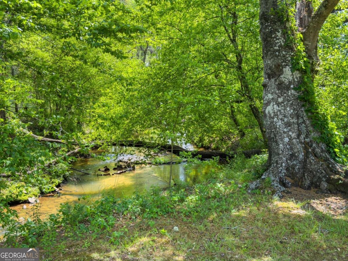 4600 Pinot Noir Drive Braselton - 43