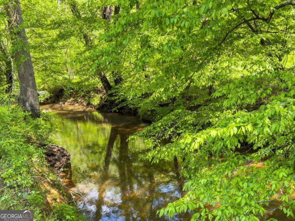 4600 Pinot Noir Drive Braselton - 44