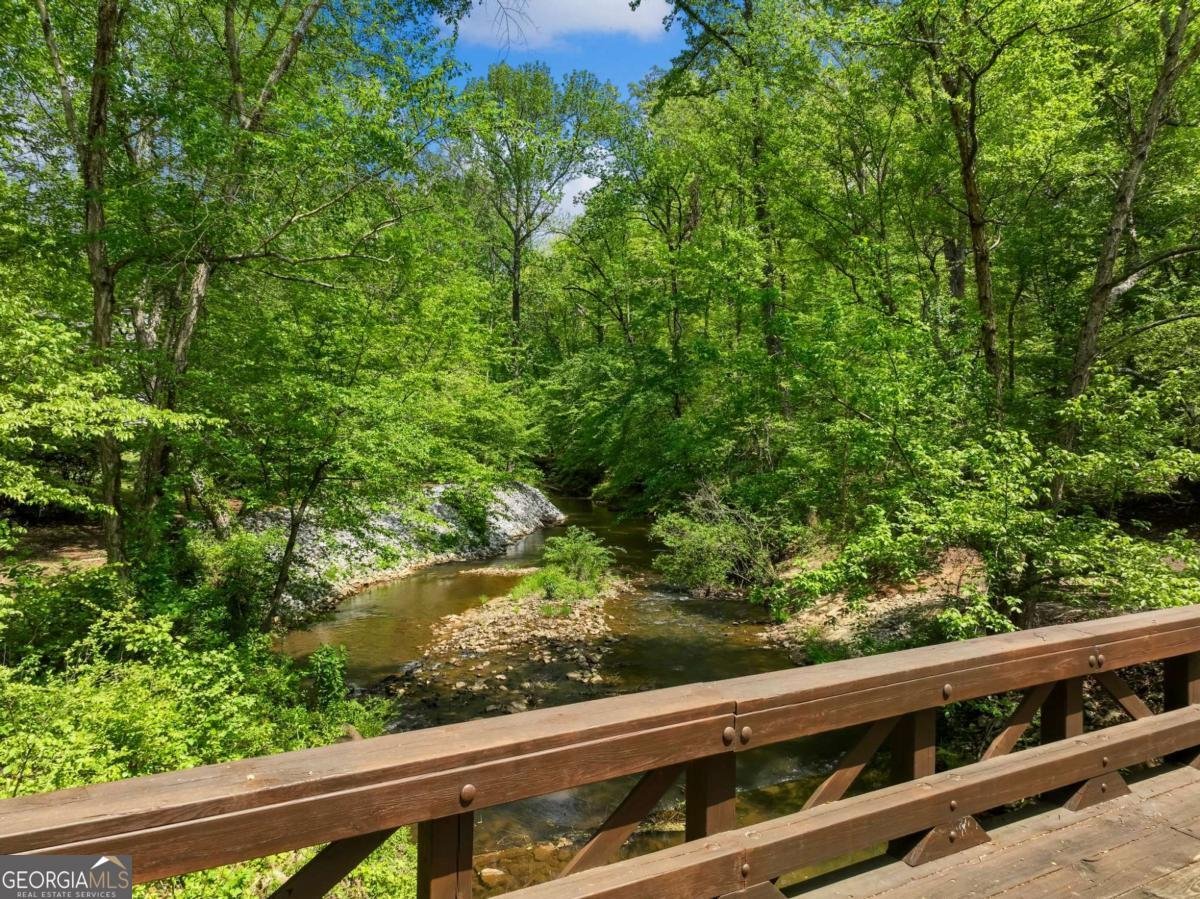 4600 Pinot Noir Drive Braselton - 49