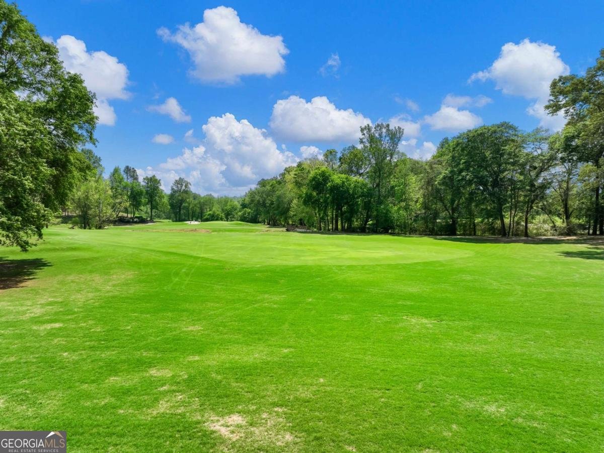 4600 Pinot Noir Drive Braselton - 58