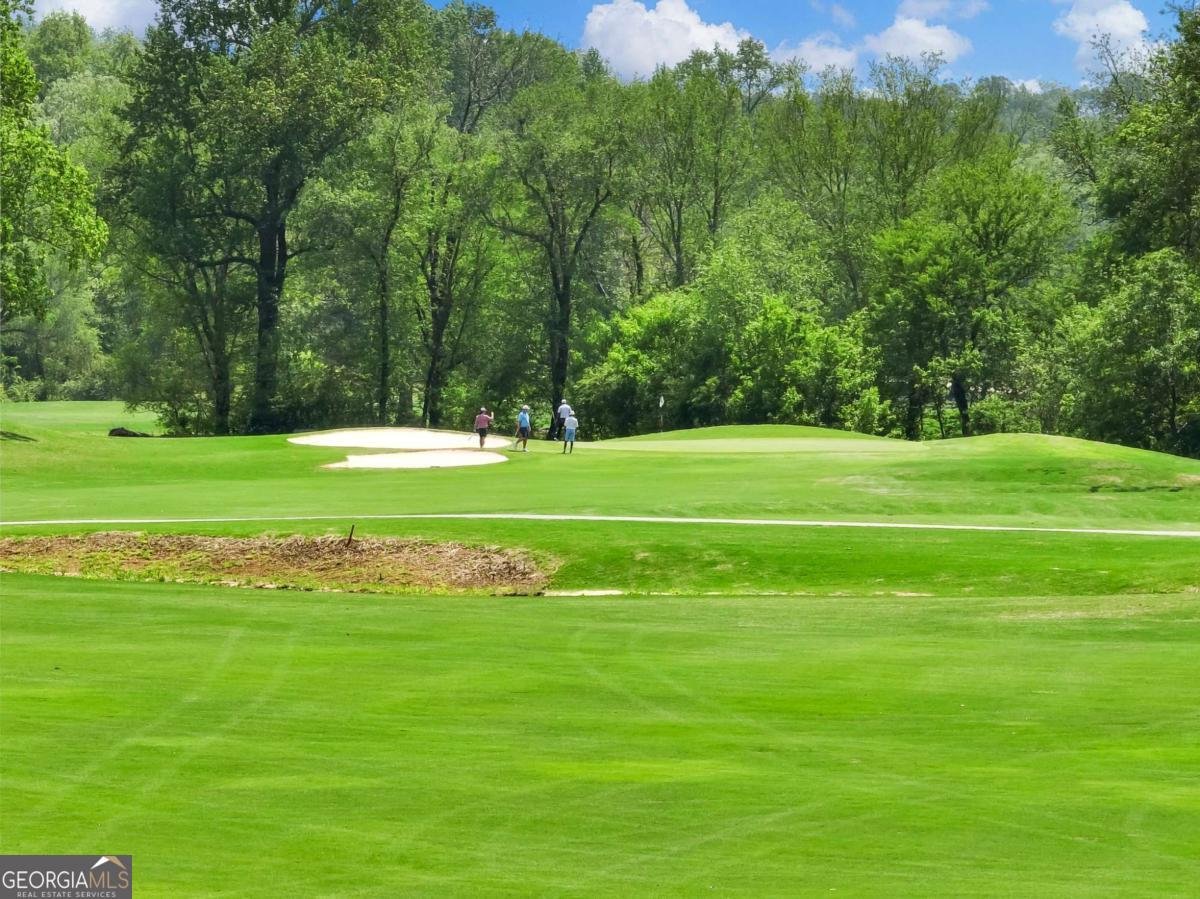 4600 Pinot Noir Drive Braselton - 59