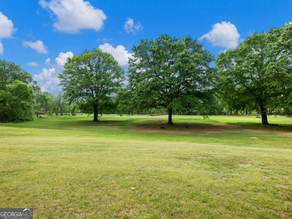 4600 Pinot Noir Drive Braselton - 82